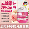 【空气清新剂除异味】去厕所味霉味神器除房间潮湿味房间固体室内 商品缩略图0