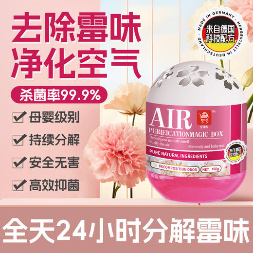 【空气清新剂除异味】去厕所味霉味神器除房间潮湿味房间固体室内 商品图0