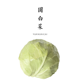 圆白菜 1000g