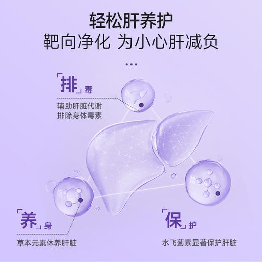 EHRGOLS/健耐德奶蓟草正品护肝片水飞蓟片熬夜肝脏水飞蓟素 商品图2