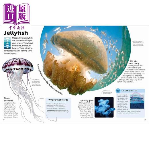 【中商原版】DK 海洋奇观 Eyewonder Oceans 英文原版 儿童科普绘本 图文并茂的地球海洋儿童指南 进口童书 精装 5岁以上 商品图3