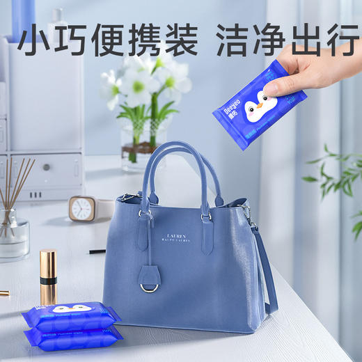 【精致便携装，洁净出行！】德佑湿厕纸便携装小包装 10抽湿厕巾男女通用 清洁护理湿巾湿厕纸10包-QQ 商品图3