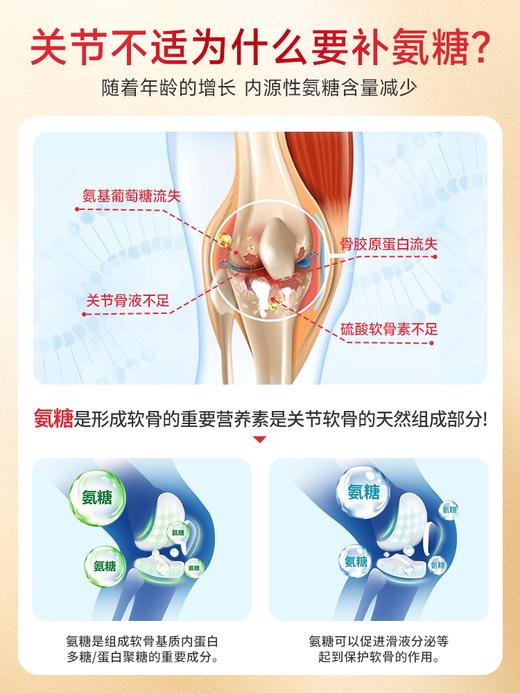 德国进口EHRGOLS氨基氨糖软骨素钙片补钙骨胶原中老年护关节 商品图2