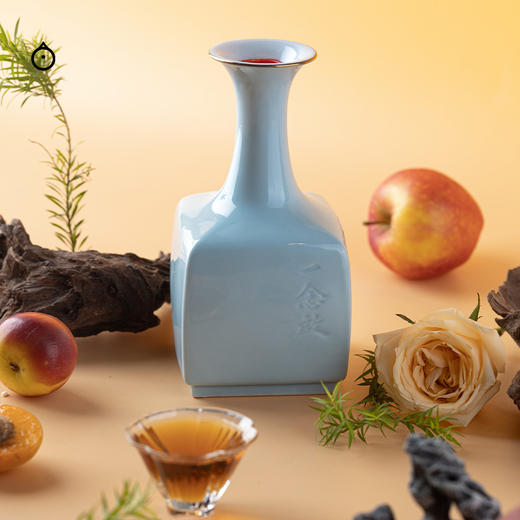 企鹅市集|王宝和酒厂 一念启 2000单一老年份手工冬酿黄酒500ml（定制瓷瓶，附赠景德镇酒盏） 花雕黄酒 商品图3