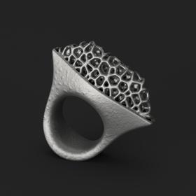 SCRY Form R04 Ring戒指