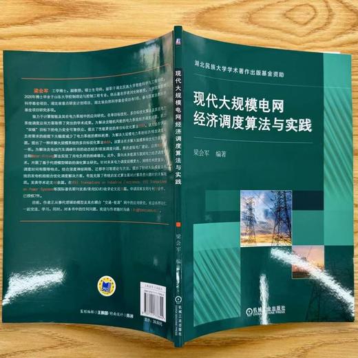 现代大规模电网经济调度算法与实践 商品图2