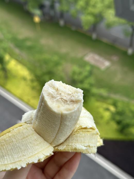 福建漳州苹果蕉～口感软糯细腻，甜中带有微酸，类似苹果的果香、原生态、自然成熟不打药、安全可口营养丰富、减脂期必备、品味舌尖与紧致果肉的交融，像糯米般有嚼劲，丝滑奇妙，比普通香蕉口感更丰富～ 商品图5