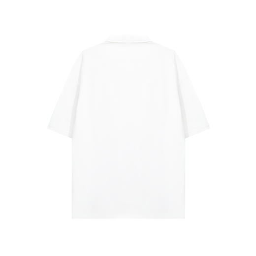 【新品上新】HX 夏季翻领短袖微宽松T恤Z102520071101 商品图1