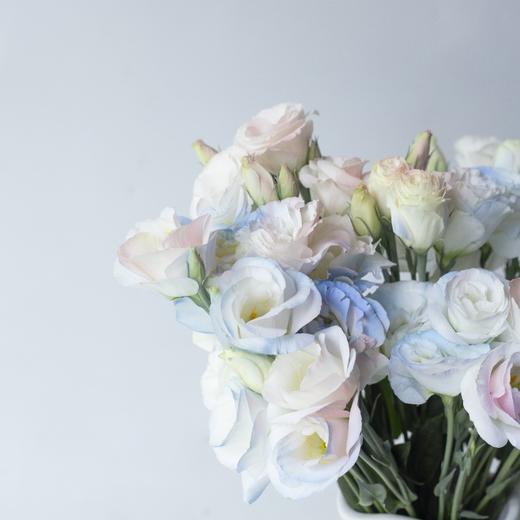 【人鱼姬桔梗】藏匿在粉色银河里的 ❀❀ 商品图5