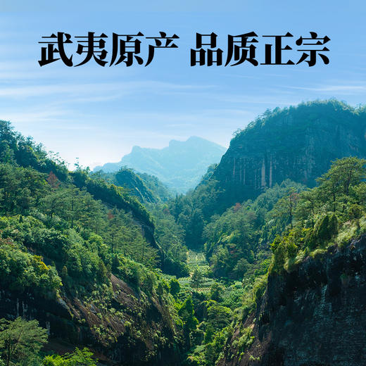 八马茶业 | 多多有福武夷岩茶乌龙茶肉桂150g 商品图1
