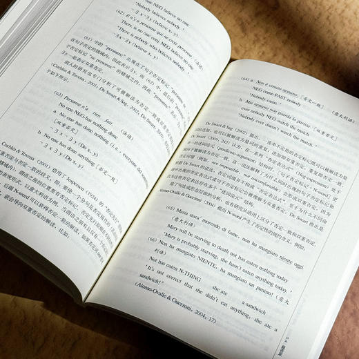 否定之谜 特殊否定的生成及使用研究 左百瑶 语用分析 商品图13