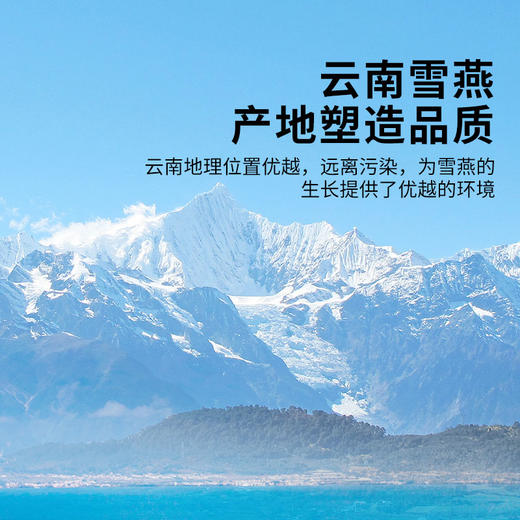 【正宗同仁堂品牌】北京同仁堂 青源堂 雪燕100克 品质雪燕 胶质浓稠SY 商品图9