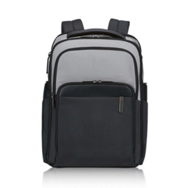 新秀丽EVOSIGHT系列现代商务挺括双肩包KP9