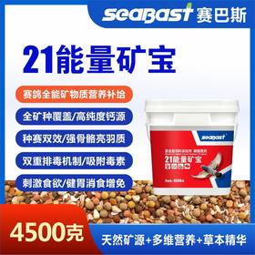赛巴斯【21能量矿宝】4500g（德国赛巴斯）