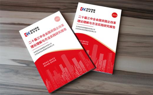 《党的二十届三中全会国资国企改革理论理解与方法实践研究报告》 商品图1