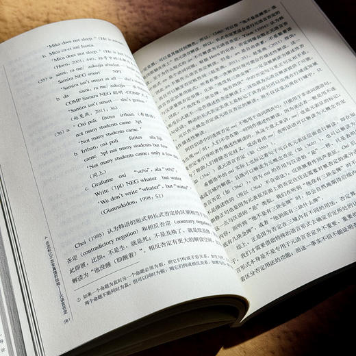 否定之谜 特殊否定的生成及使用研究 左百瑶 语用分析 商品图12