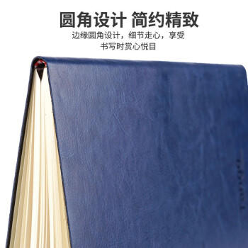天章 （TANGO）高档25K商务皮面本笔记记事本经典办公日记会议记录本 肤感软面  100页 支持定制 商品图5