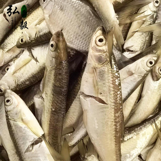 【弘毅六不用生态农场】小白鱼3斤/份 商品图1