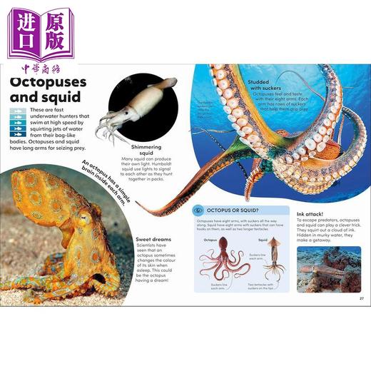 【中商原版】DK 海洋奇观 Eyewonder Oceans 英文原版 儿童科普绘本 图文并茂的地球海洋儿童指南 进口童书 精装 5岁以上 商品图4