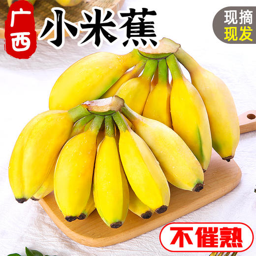 广西小米蕉香蕉水果新鲜10斤芭蕉心当季自然熟皇帝蕉苹果整箱包邮 商品图0