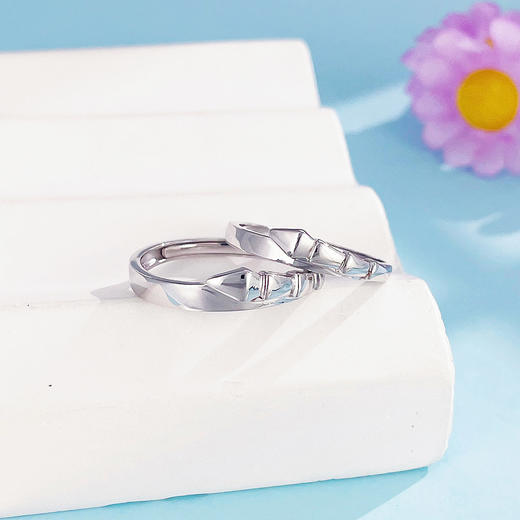 【限时8.8折】PT950 #情侣日常 #蛇年新品  #十二铂记  【国际铂金协会 】铂金实心活口戒蛇骨情侣戒对戒/对(BQLJ00113)预售产品下单后不退款不退货不换货不补差价) 商品图1