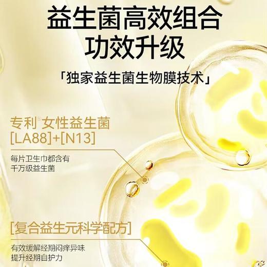 自由点益生菌旗舰款日用卫生巾250mm 10片/包 商品图2