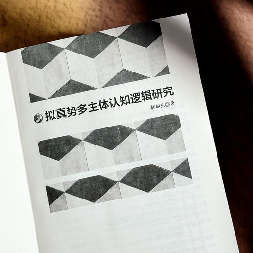 拟真势多主体认知逻辑研究 郝旭东 哲理逻辑 逻辑学 商品图5