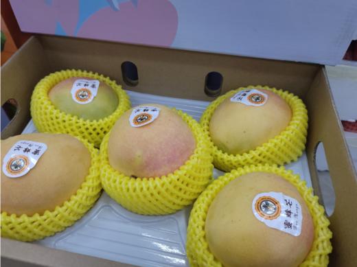 蜜蜂芒礼盒 商品图1