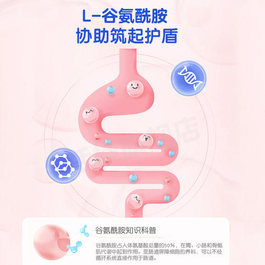 恬橙谷氨酰胺味复合菌冻干粉(7gx15包）红色版 商品图2