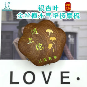平衡小柅 银杏叶金丝檀木气垫按摩梳 气囊梳 按摩头皮经络 顺发
