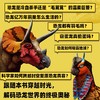 恐龙复原档案：解密远古时期的地球霸主 一本书读懂真实的恐龙世界 71种恐龙完整复原档案 商品缩略图1