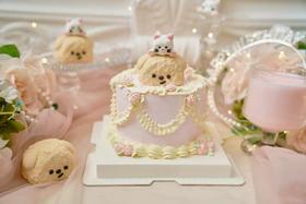 猫狗双全主题蛋糕