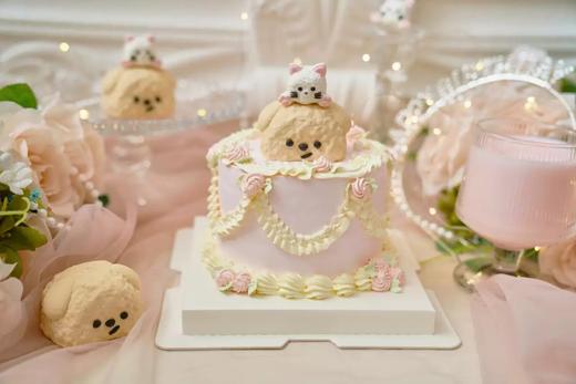 猫狗双全主题蛋糕 商品图0