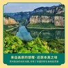 筠如意菌菇包100G 商品缩略图4