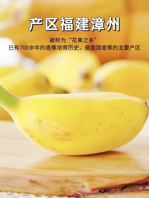 福建漳州苹果蕉～口感软糯细腻，甜中带有微酸，类似苹果的果香、原生态、自然成熟不打药、安全可口营养丰富、减脂期必备、品味舌尖与紧致果肉的交融，像糯米般有嚼劲，丝滑奇妙，比普通香蕉口感更丰富～ 商品图14