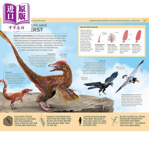 【中商原版】DK 1000个惊人的恐龙事实 1000 amazing dinosaur facts 英文原版 儿童科普读物 动物科学百科 进口童书 9岁以上 商品图4