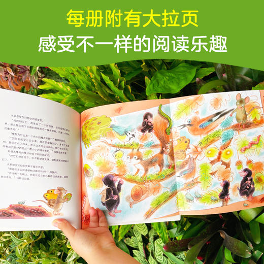 大自然的魔法课（全四册）安妮·西布兰/文 埃米莉·安热博/图 商品图5