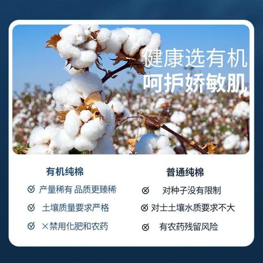 自由点有机纯棉极薄夜用１２片卫生巾/份 商品图3