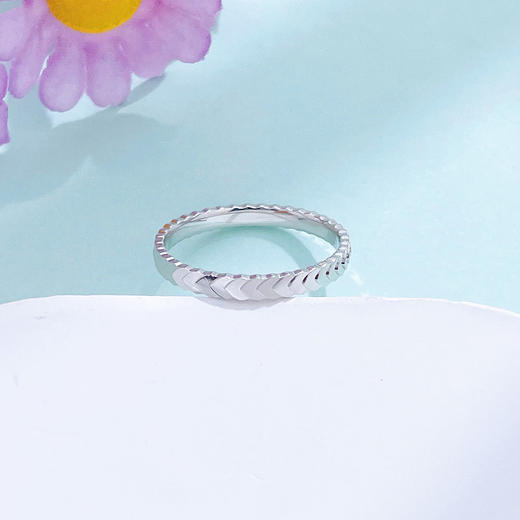 【限时8.8折】【线上铂金馆】PT950 #固口戒指 #清新 【国际铂金协会  精品】铂金实心爱的轨迹鱼鳞纹圈戒线戒条戒(BJZ00205)预售产品下单后不退款不退货不换货不补差价) 商品图3