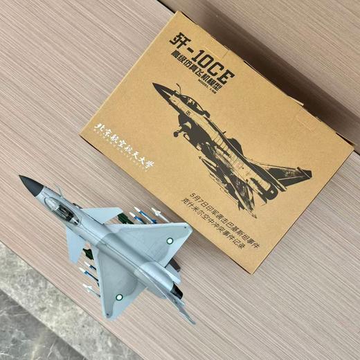 歼10CE 1：48 商品图2