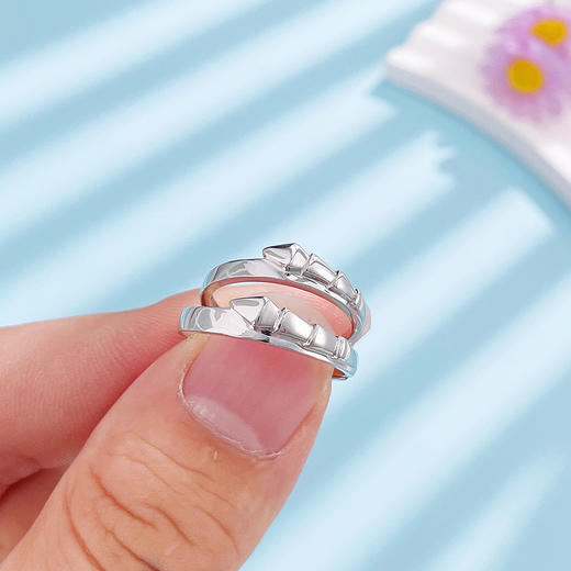 【限时8.8折】PT950 #情侣日常 #蛇年新品  #十二铂记  【国际铂金协会 】铂金实心活口戒蛇骨情侣戒对戒/对(BQLJ00113)预售产品下单后不退款不退货不换货不补差价) 商品图2