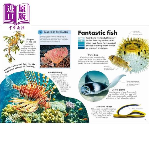 【中商原版】DK 海洋奇观 Eyewonder Oceans 英文原版 儿童科普绘本 图文并茂的地球海洋儿童指南 进口童书 精装 5岁以上 商品图2