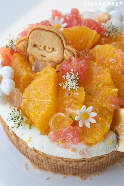 #𝗻𝗲𝘄 🍊橘里橘气拿破仑 商品图3