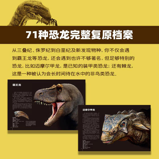 恐龙复原档案：解密远古时期的地球霸主 一本书读懂真实的恐龙世界 71种恐龙完整复原档案 商品图2