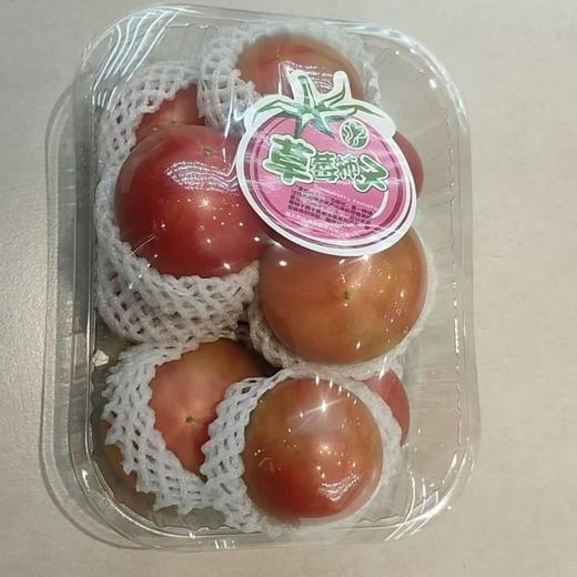 草莓西红柿 商品图0