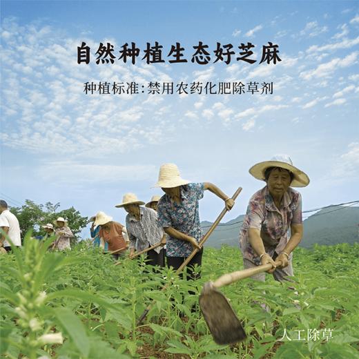 【买 570g送红曲黄酒100ml】【谦益】香畴 有机九蒸九晒黑芝麻丸 72/150g/570g  低Gi 自然农法种植原料  古法去皮工艺 商品图6