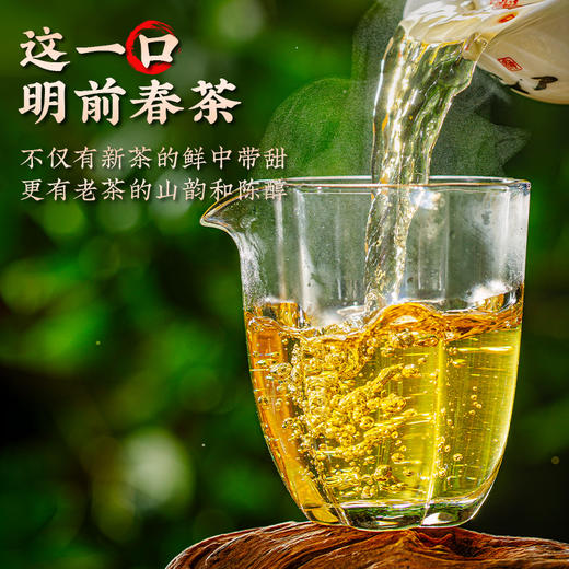 澜沧古茶2024年景迈春香普洱茶生茶大饼357g 商品图2