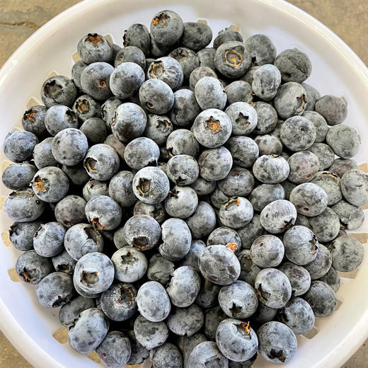 花香蓝莓15+（篮装1.5kg） 商品图0