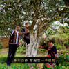 【整件8团】【龙团贡茶困鹿山熟茶】2022年头春头采云南普洱茶熟茶团茶礼盒装与茶农强强联合良心好茶500g/团 商品缩略图11