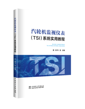 汽轮机监视仪表（TSI）系统实用教程